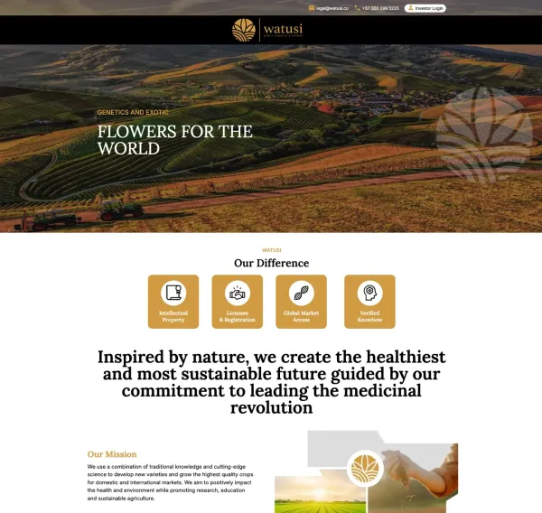 Additional image for Watusi – Flowers for the World