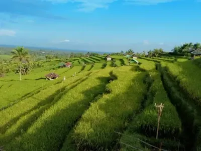 Watusi – Flowers for the World